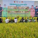 Danrem 082/CPYJ Panen Raya Padi Bersama Kelompok Tani Mulyorejo