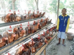 Program Gayatri Di Desa Cengungklung, Kec. Gayam Tingkatkan Pendapatan Keluarga KPM