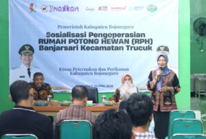 Sembelih Sapi Betina Di RPH Banjarsari Bayar Rp 65 Ribu, Sapi Jantan Rp 30 Ribu