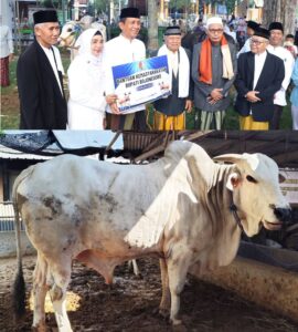 Bupati Bojonegoro Serahkan Sapi Kurban Jenis PO Dari Peternak Lokal Dolokgede Tambakrejo