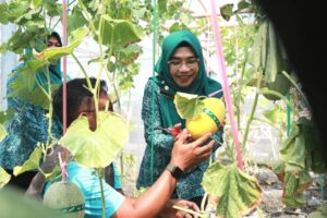 Cantika Wahono Kunjungi Sentra Gerabah Malo Dan Wisata Petik Melon KW Farm