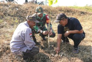 Bina Lingkungan Hidup, Kodim Bojonegoro Tanam Ribuan Pohon Kayu Putih Dan Balsa