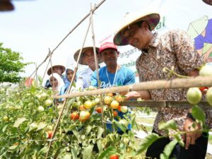 Pemkab Bojonegoro Komitmen Bangun Kemandirian Daerah Dengan Prioritaskan Pertanian